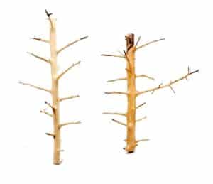 Whimar Decor Long Hands Wood Small 20-30cm - 1 piece