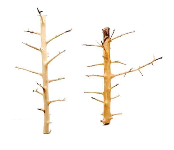 Whimar Decor Long Hands Wood Small 20-30cm - 1pz