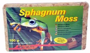 Lucky Reptile - Spaghnum Moss 100g, Mattoncino di muschio pressato