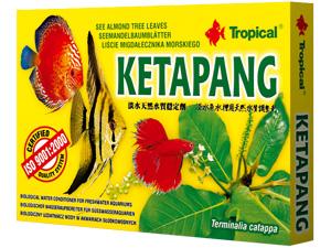 Tropical Ketapang - Terminalia leaves - multi-use natural product for freshwater aquaria