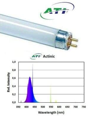 ATI Actinic 24 watts - Neon for Marine Aquaria