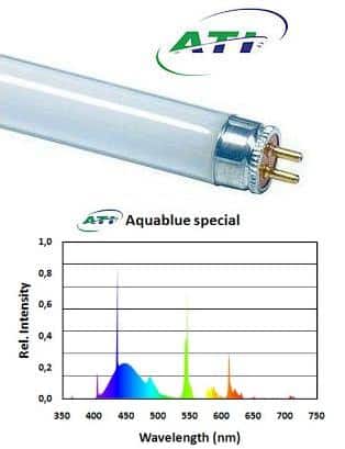 ATI Aquablue Special 24 watt - Neon per Acquari Marini