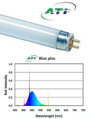 ATI Blue Plus 24 watts - Neon for Marine Aquaria