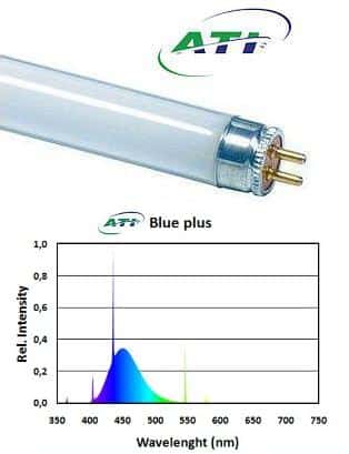 ATI Blue Plus 24 watt - Neon per Acquari Marini