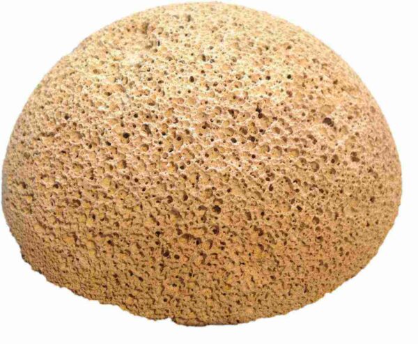 Brightwell Aquatics - HemiXSphere hemispherical bases for coral cutting